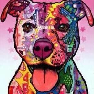 Meet your Posher, Pam